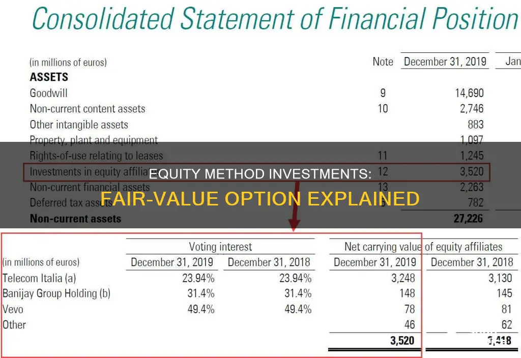 what is the fair-value option for reporting equity method investments