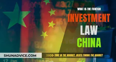 Understanding China's Foreign Investment Law: Rules and Regulations