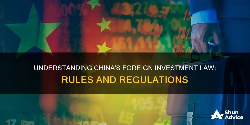 what is the foreign investment law china