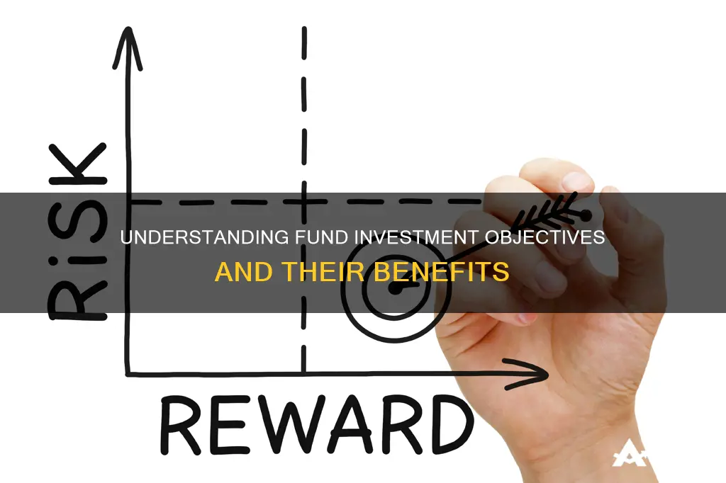 what is the fund investment objective of