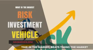 Exploring the Riskiest Investment: Navigating High-Reward, High-Risk Vehicles