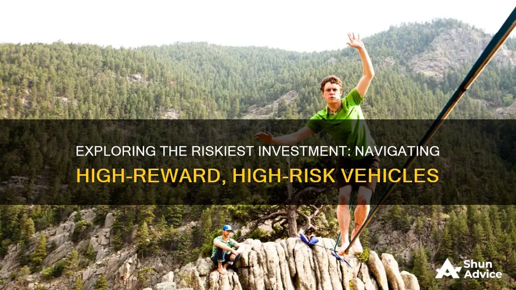 what is the highest risk investment vehicle