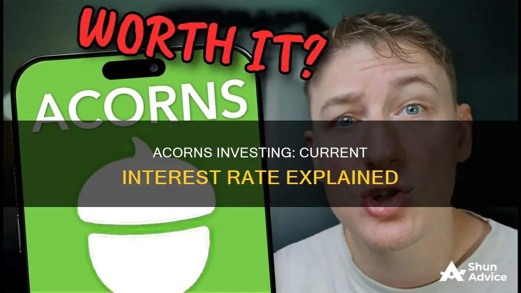 what is the interest rate at acorns investing