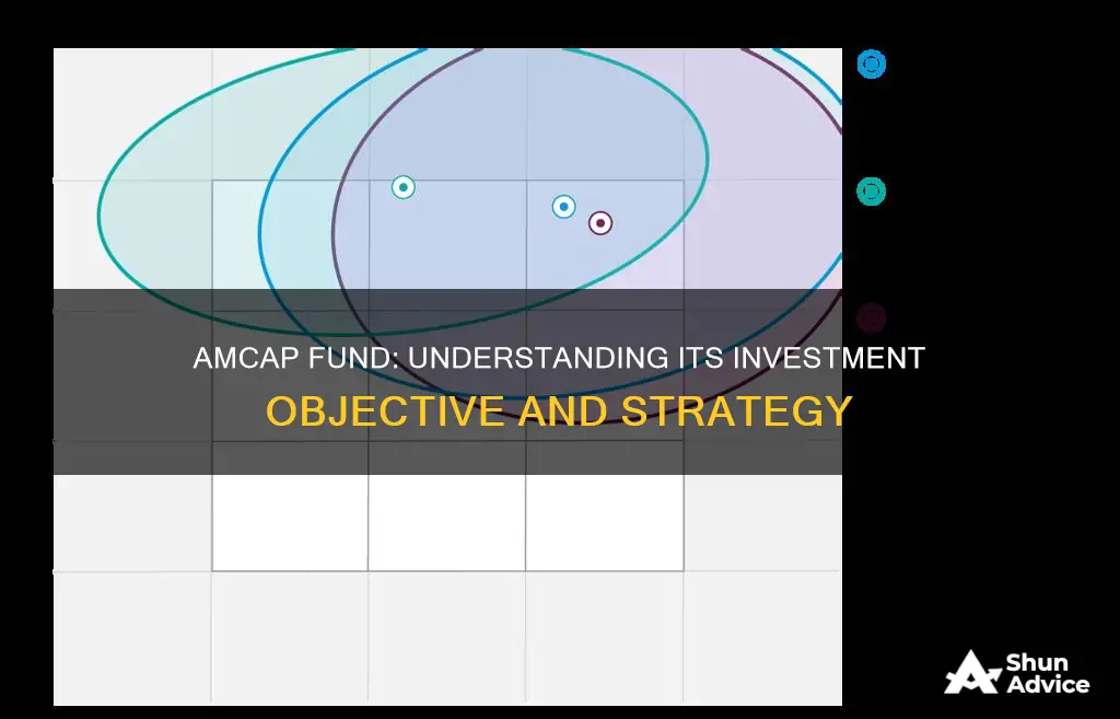 what is the investment objective of amcap fund