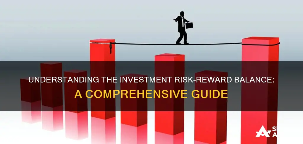 what is the investment risk versus reward equation