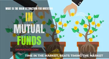 Mutual Funds: Diversified, Managed, and Accessible Investments