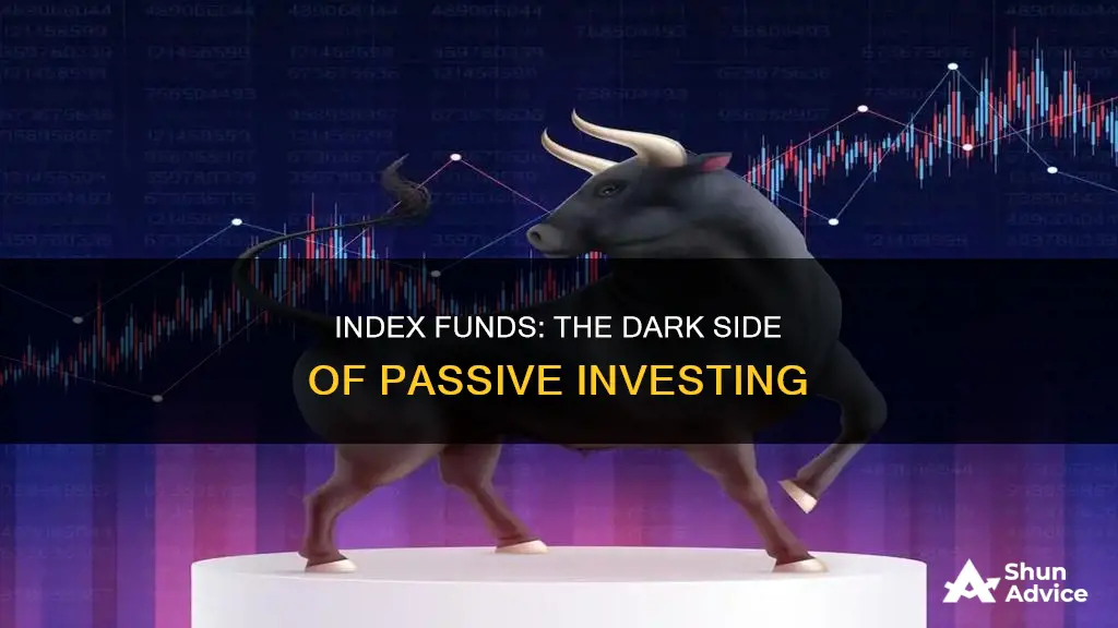 what is the main disadvantage of investing in index funds