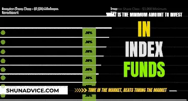 Index Funds: Minimum Investment Requirements and Opportunities