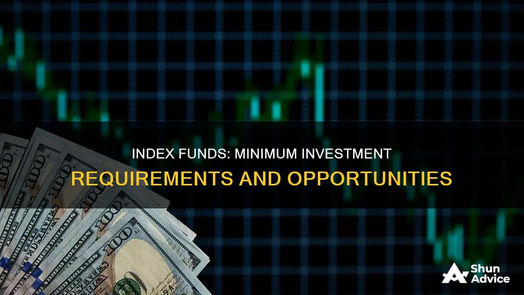 what is the minimum amount to invest in index funds