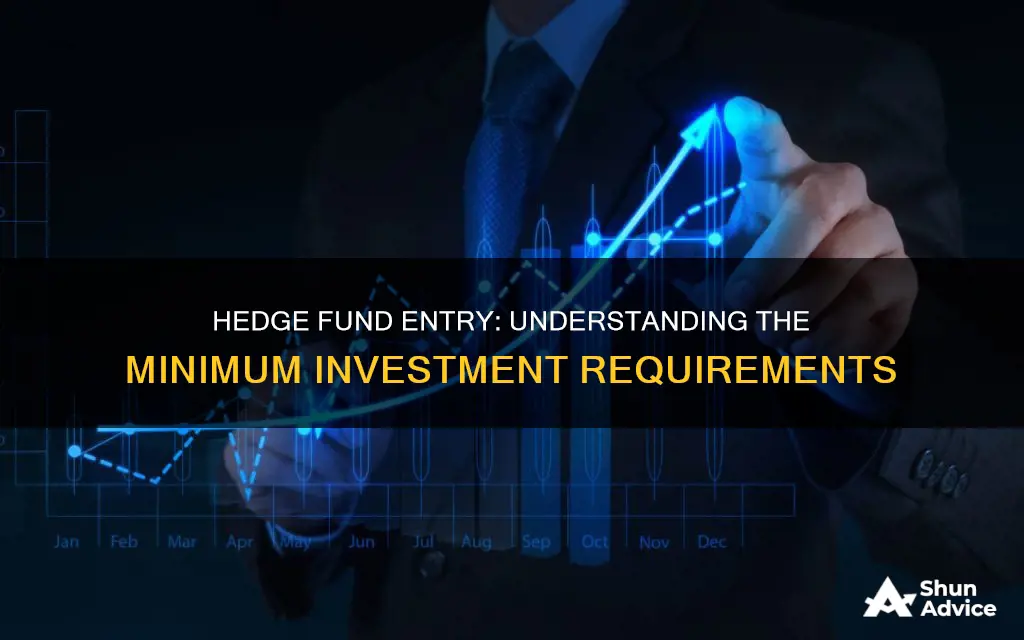 what is the minimum hedge fund investment