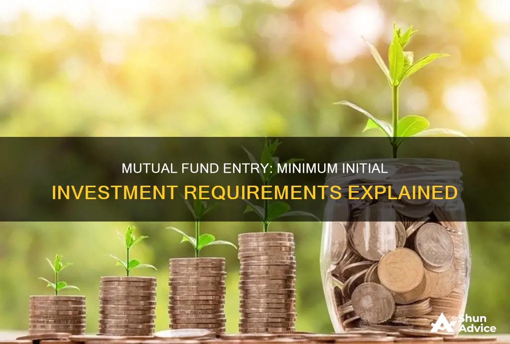 what is the minimum initial investment in a mutual fund