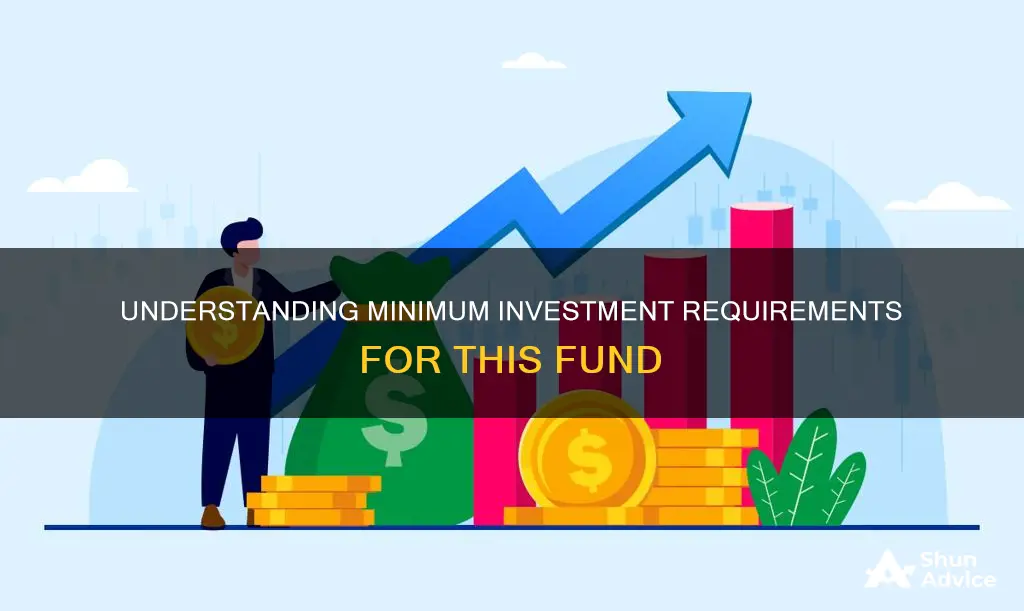 what is the minimum investment for this fund