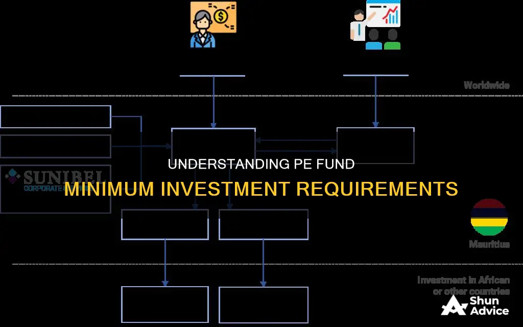 what is the minimum investment into a pe fund