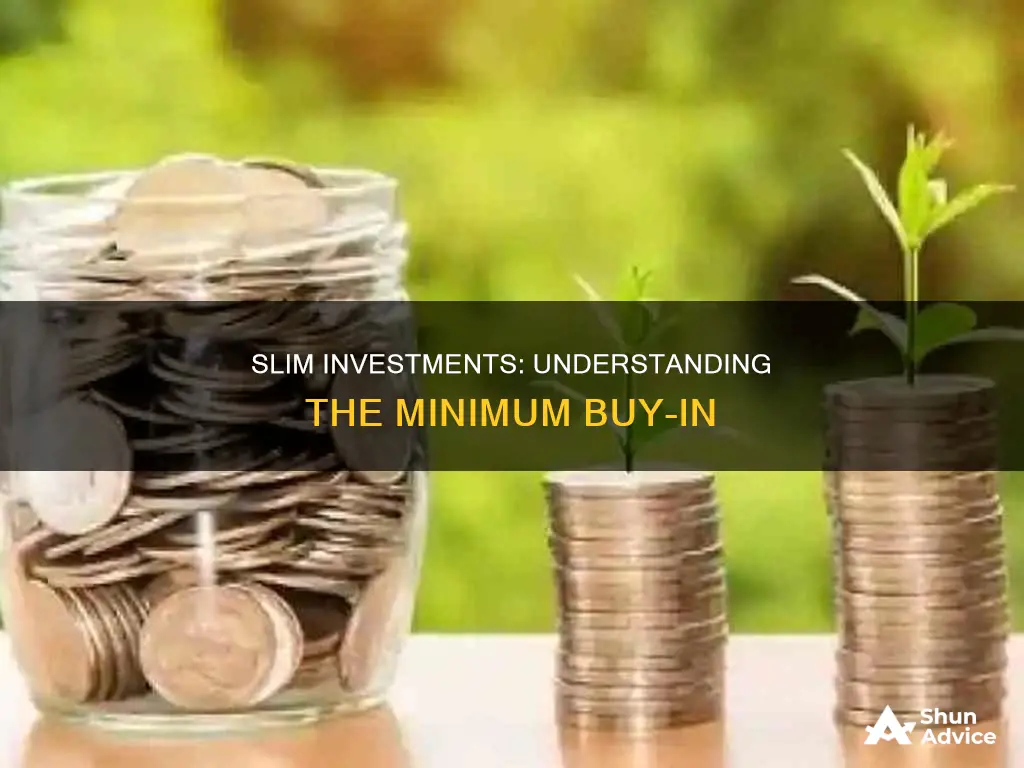 what is the minimum investment to buy slim