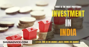 Profitable Indian Investments: Where to Invest Your Money?