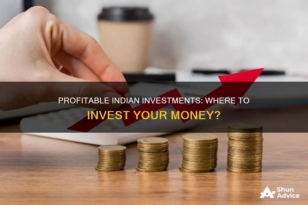 what is the most profitable investment in india