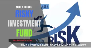 Risky Business: The Most Dangerous Investment Funds