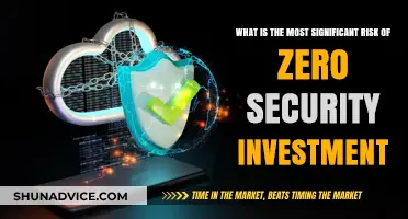 Zero Security Investment: A Recipe for Disaster