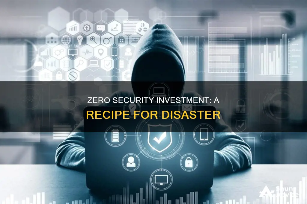 what is the most significant risk of zero security investment