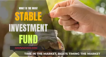 Best Stable Investment Funds: Long-Term Growth Strategies