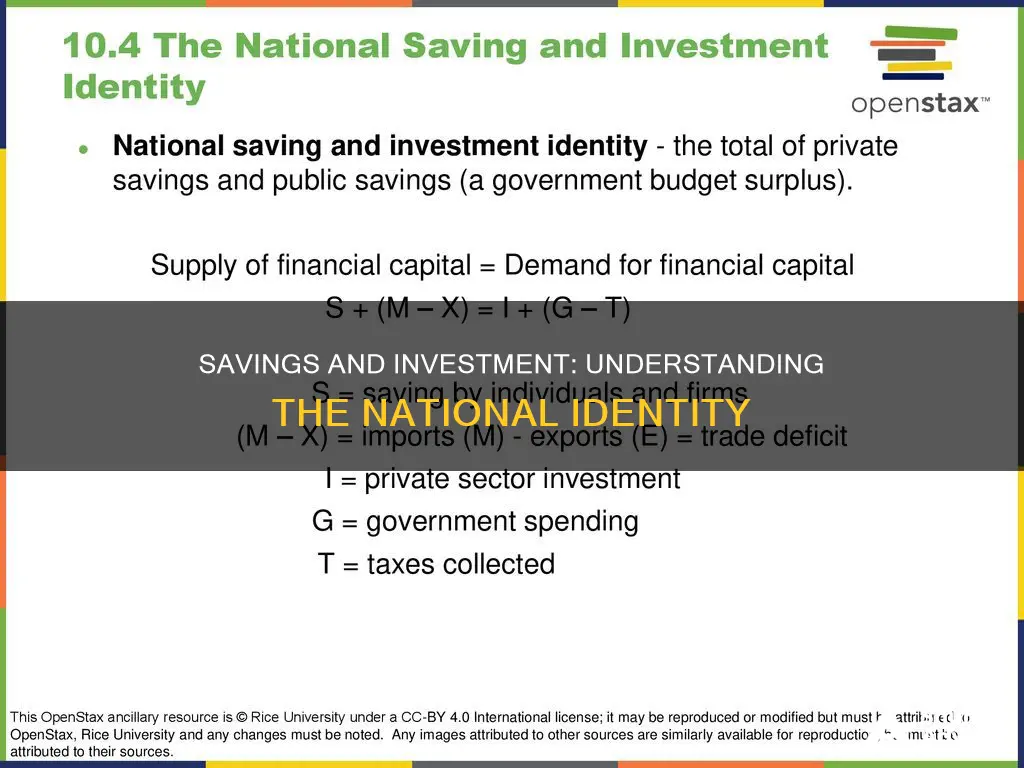 what is the national savings and investment identity