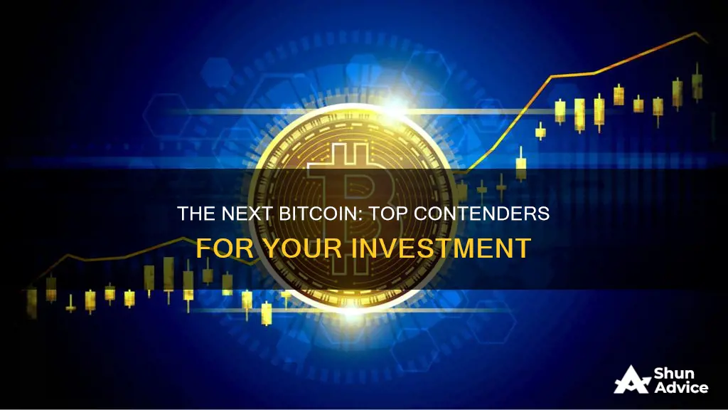 what is the newest bitcoin to invest in