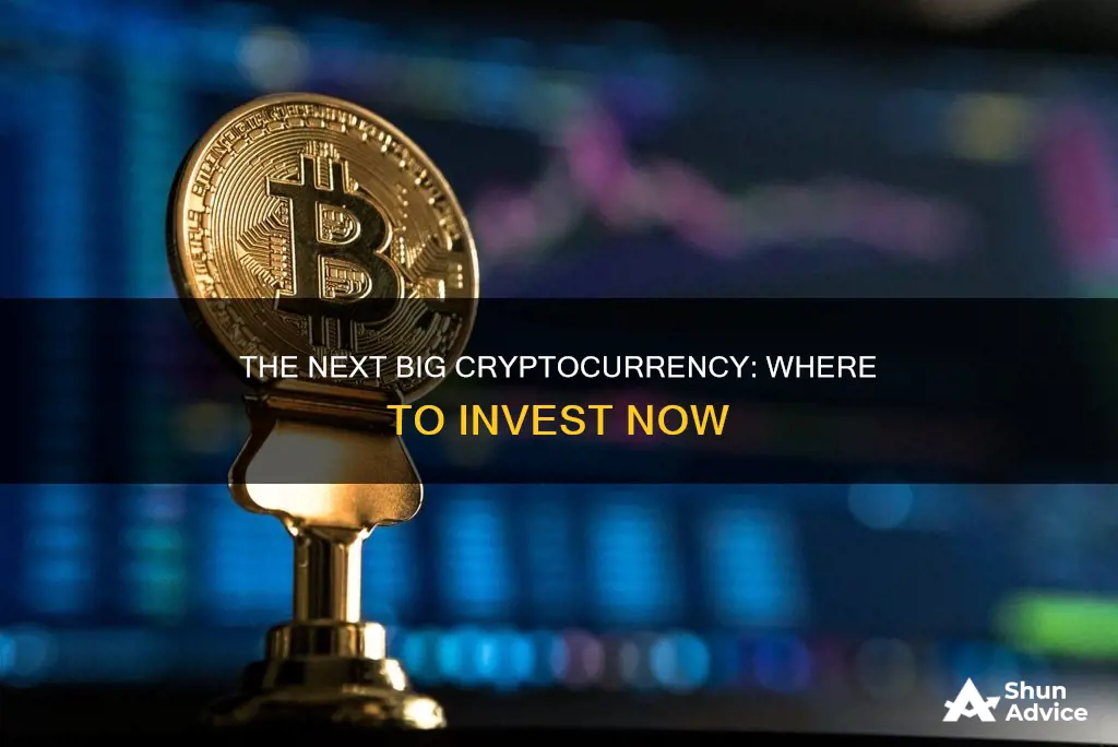 what is the next big cryptocurrency to invest in