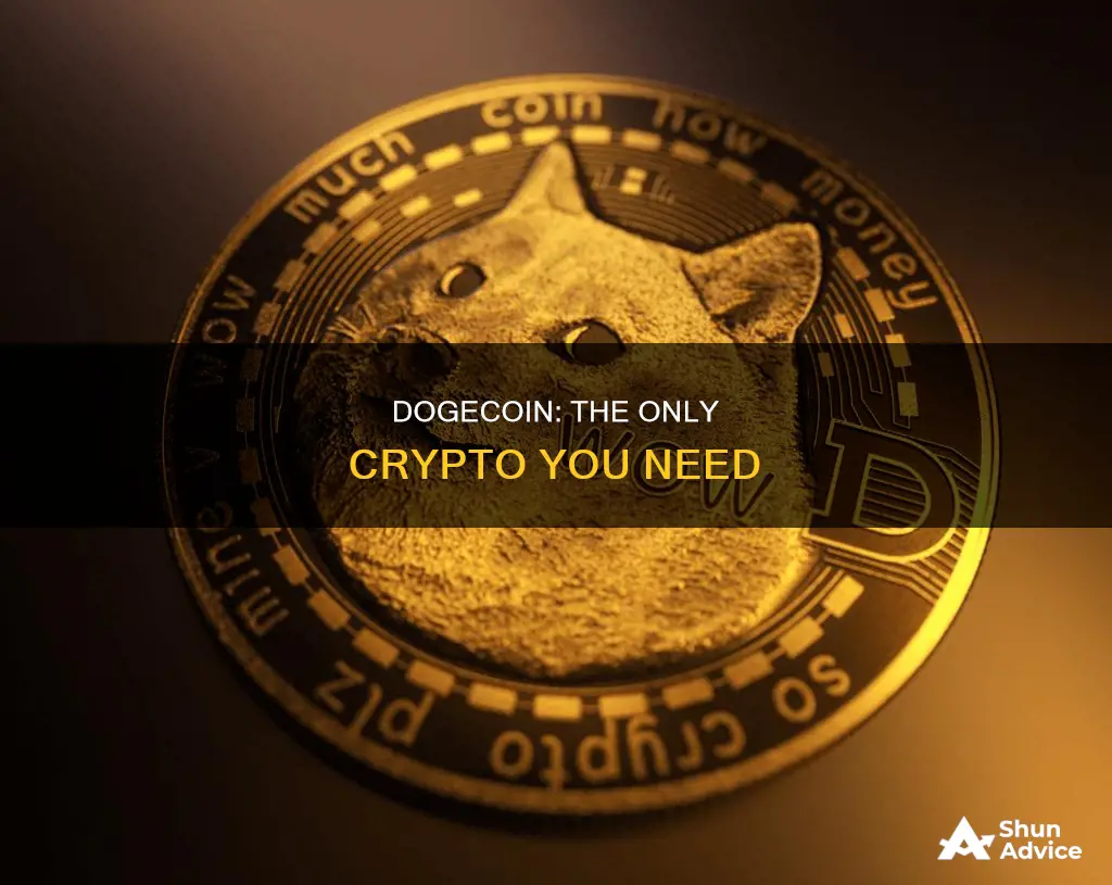 what is the only cryptocurrency that you should invest dogecoin