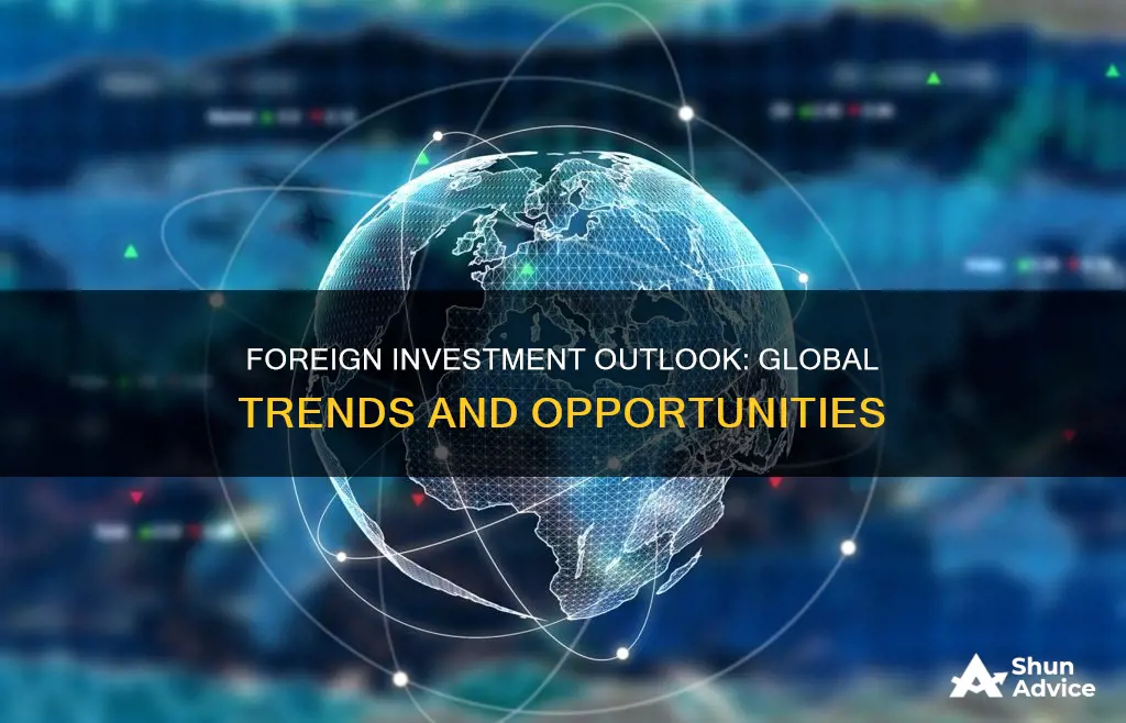 what is the outlook for foreign investments