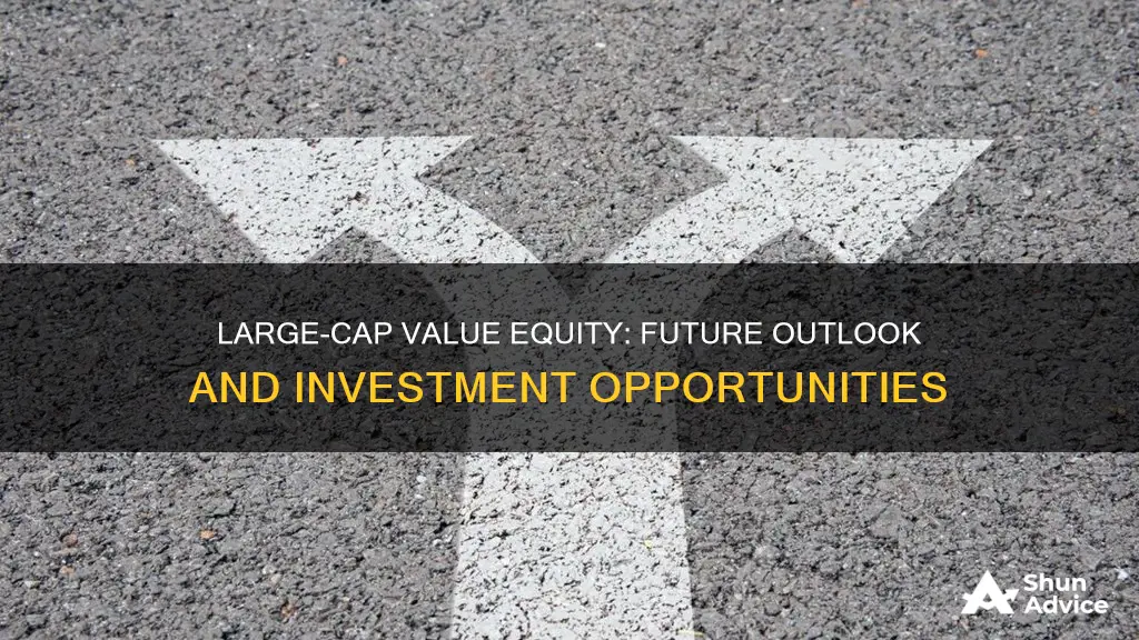 what is the outlook for large cap value equity investments