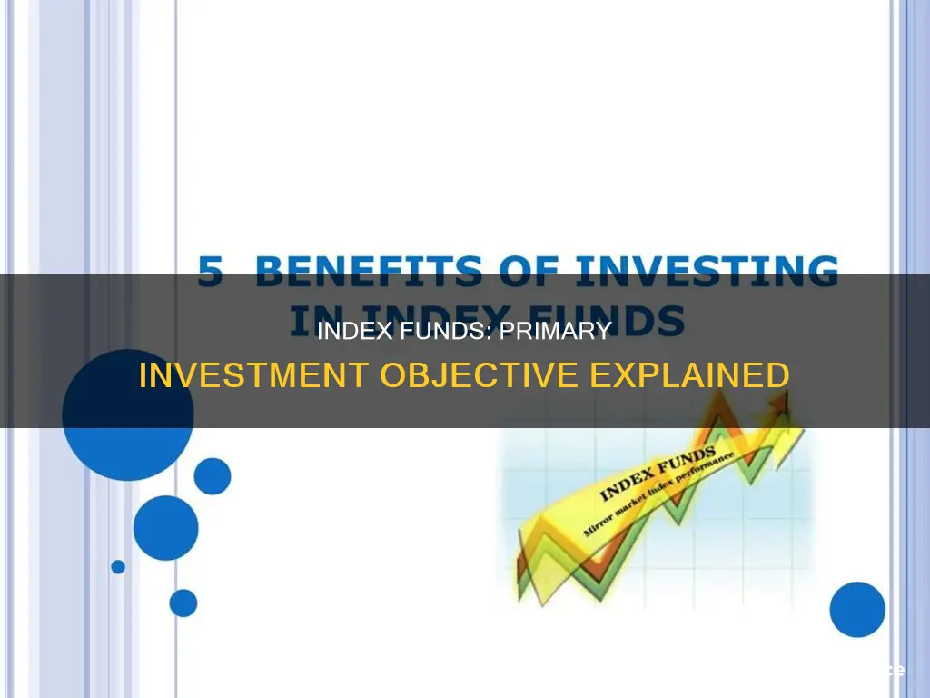 what is the primary investment objective of an index fund