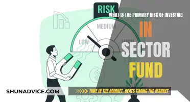 Sector Fund Risk: Volatility or Reward?