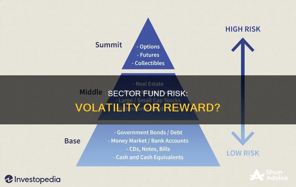 what is the primary risk of investing in sector fund