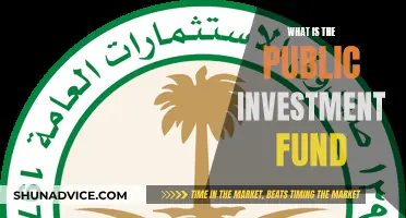 The Public Investment Fund: A Wealth Fund Explained