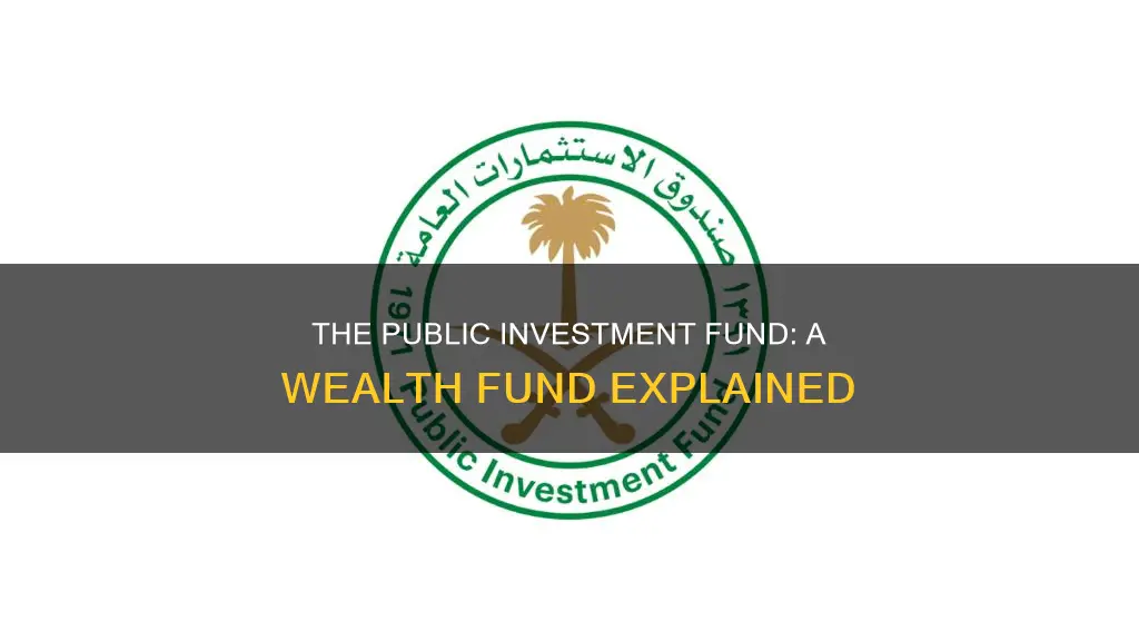 what is the public investment fund