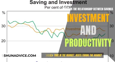 Savings, Investment, and Productivity: The Interplay for Economic Growth