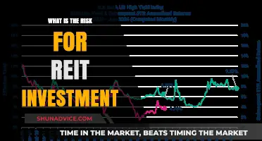 Understanding REIT Investment Risks: A Comprehensive Guide