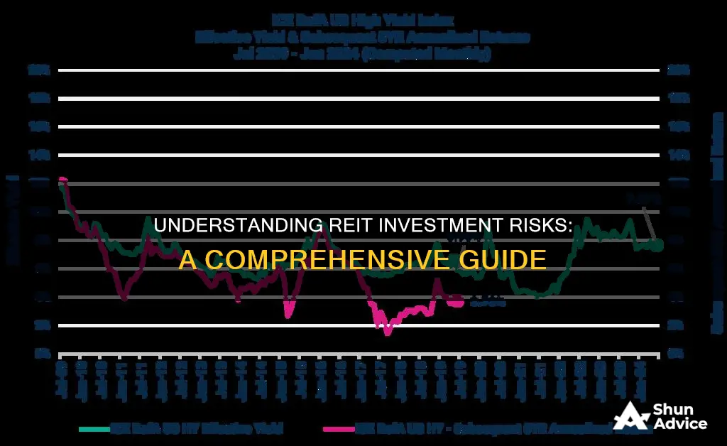 what is the risk for reit investment