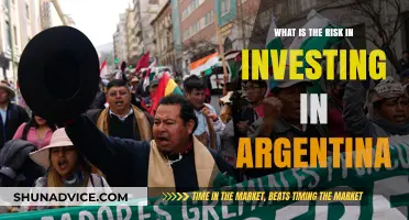 Navigating Argentina's Investment Risks: A Comprehensive Guide