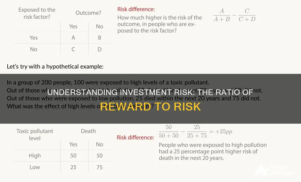 what is the risk ratio of investments