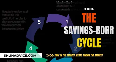 The Cycle of Savings, Borrowing, and Investing: Understanding the Trio