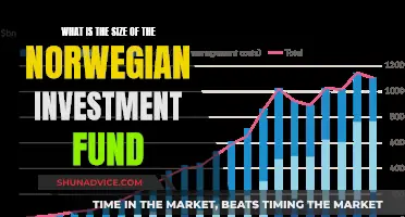 The Wealth of Norway: Investment Fund Size Revealed