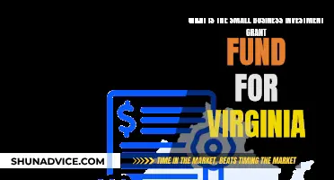 Virginia's Small Business Investment Grant: How to Apply