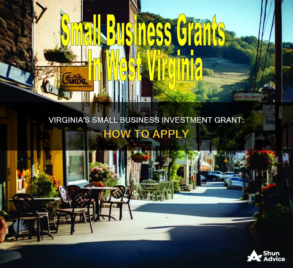 what is the small business investment grant fund for virginia