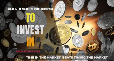 Best Cryptocurrency Bets: Smartest Investment Options