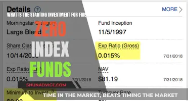 Fidelity Zero Index Funds: How Much to Start Investing?