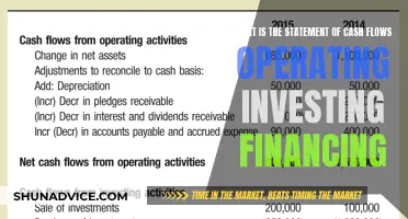 Understanding the Cash Flow Statement: Operations, Investments, and Financing