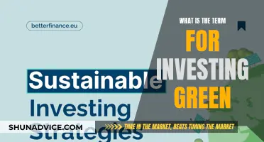 Sustainable Investing: Green Finance and Its Impact