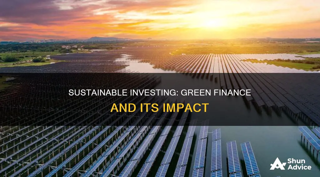 what is the term for investing green