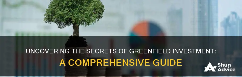 what is the term greenfield investment